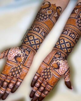 Engagement Mehandi